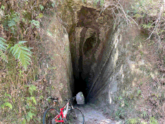 素掘りトンネルめぐりのメインイメージ